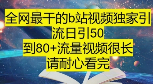 【副业项目8241期】B站引流详细教程，附带资源入口-荔枝网络