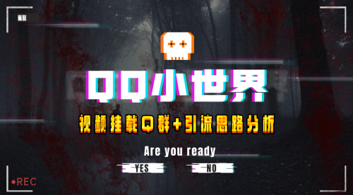 【副业项目8268期】QQ小世界_Q群挂载教程+引流思路分析-荔枝网络