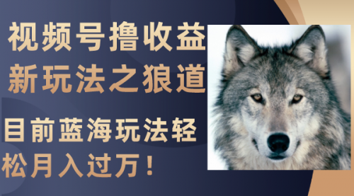【副业项目8271期】视频号撸收益新玩法之狼道，目前蓝海玩法轻松月入过万！-荔枝网络