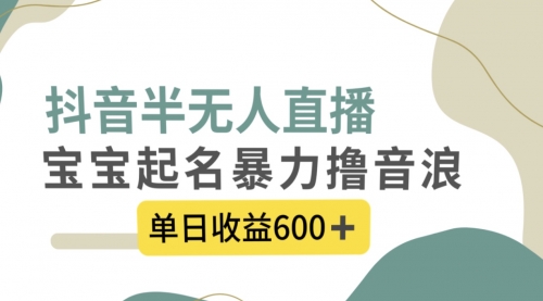 【副业项目8385期】抖音半无人直播，宝宝起名，暴力撸音浪，单日收益600+-荔枝网络
