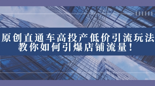 【副业项目8402期】2023直通车高投产低价引流玩法，教你如何引爆店铺流量！-荔枝网络