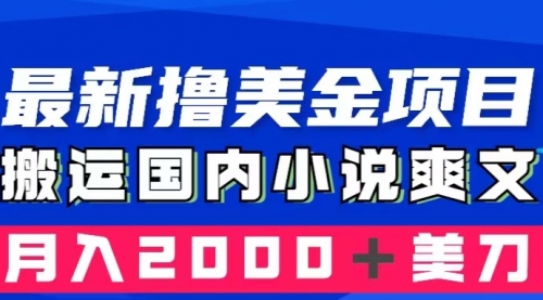 【副业项目8408期】国内小说爽文搬运到国外，复制粘贴一月2000+美金-荔枝网络