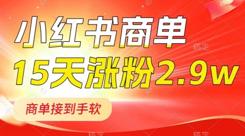 【副业项目8480期】小红书商单最新玩法，新号15天2.9w粉，接单到手软-荔枝网络