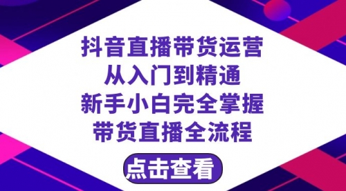 【副业项目8483期】抖音直播带货 运营从入门到精通，新手完全掌握带货直播全流程（23节-荔枝网络