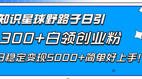 【副业项目8492期】知识星球野路子日引300+白领创业粉-荔枝网络