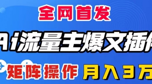 【副业项目8498期】AI流量主爆文插件，只需一款插件全自动输出爆文-荔枝网络
