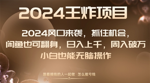 【副业项目8548期】2024闲鱼翻身项目，小白也可做-荔枝网络