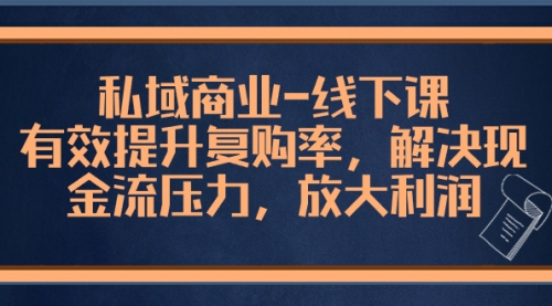 【副业项目8578期】私域商业-线下课，有效提升复购率，解决现金流压力，放大利润-荔枝网络