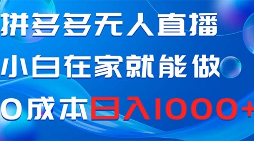 【副业项目8603期】拼多多无人直播，小白在家就能做，0成本日入1000+-荔枝网络
