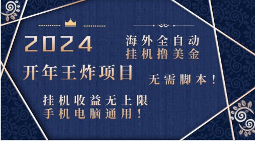 【副业项目8620期】2024海外撸美金项目！手机电脑均可-荔枝网络