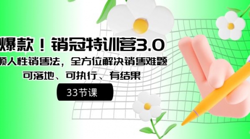 【副业8705期】销冠特训营3.0之顺人性销售法,全方位解决销售难题、可落地-荔枝网络