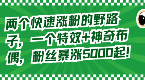 【副业8723期】两个快速涨粉的野路子，一个特效+神奇布偶，粉丝暴涨5000起！-荔枝网络