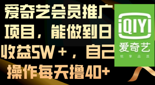 【副业8764期】爱奇艺会员推广项目，能做到日收益5W＋-荔枝网络