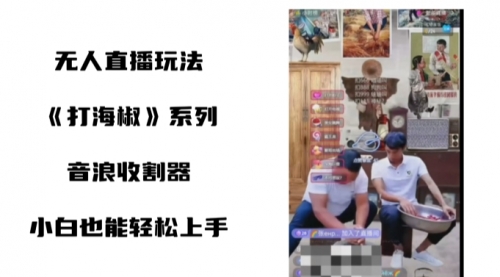 【副业8766期】打海椒无人直播整蛊项目，小白轻松上手撸音浪收割器（教程+工具+素材）-荔枝网络