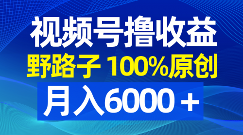 【副业8771期】视频号野路子撸收益，100%原创，条条爆款，月入6000＋-荔枝网络