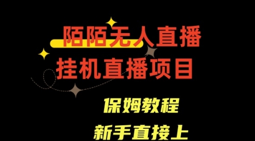 【副业8781期】陌陌无人直播，通道人数少，新手容易上手-荔枝网络
