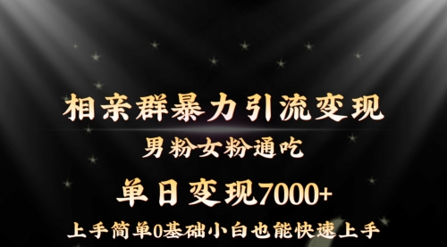 【副业8845期】相亲群暴力引流男粉女粉通吃变现玩法，单日变现7000+保姆教学1.0-荔枝网络