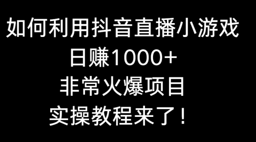 【副业8921期】如何利用抖音直播小游戏日赚1000+，非常火爆项目，实操教程来了！-荔枝网络