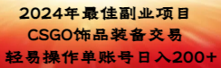 【副业8982期】2024年最佳副业项目 CSGO饰品装备交易 轻易操作单账号日入200+-荔枝网络