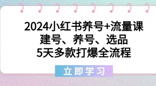 【副业8999期】2024小红书养号+流量课:建号、养号、选品,5天多款打爆全流程-荔枝网络