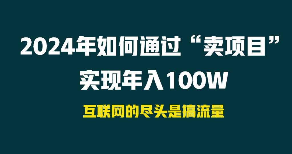 2024年如何通过“卖项目”实现年入100W-荔枝网络