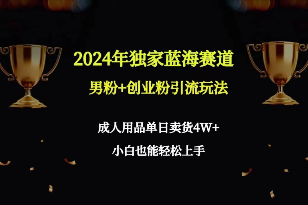 2024年独家蓝海赛道男粉+创业粉引流玩法，成人用品单日卖货4W+保姆教程-荔枝网络