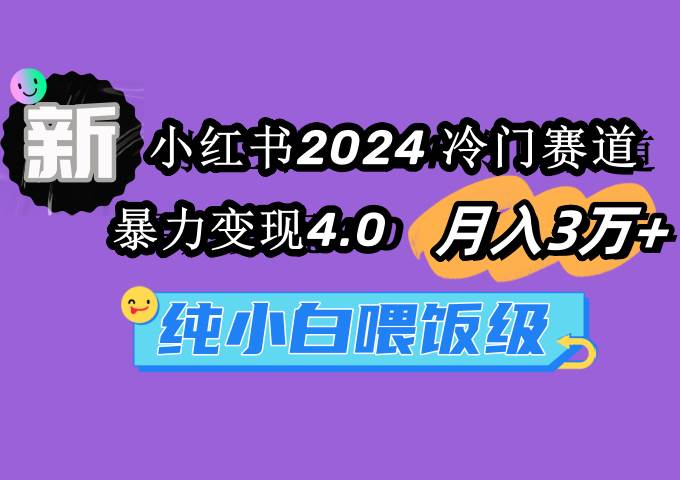小红书2024冷门赛道 月入3万+ 暴力变现4.0 纯小白喂饭级-荔枝网络