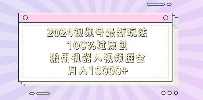 2024视频号最新玩法，100%过原创，搬用机器人视频掘金，月入10000+-荔枝网络