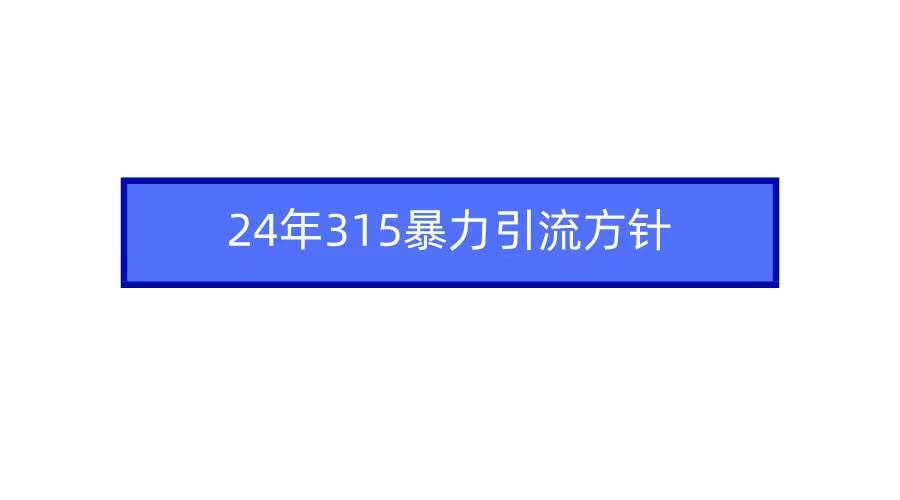 2024年315暴力引流方针-荔枝网络