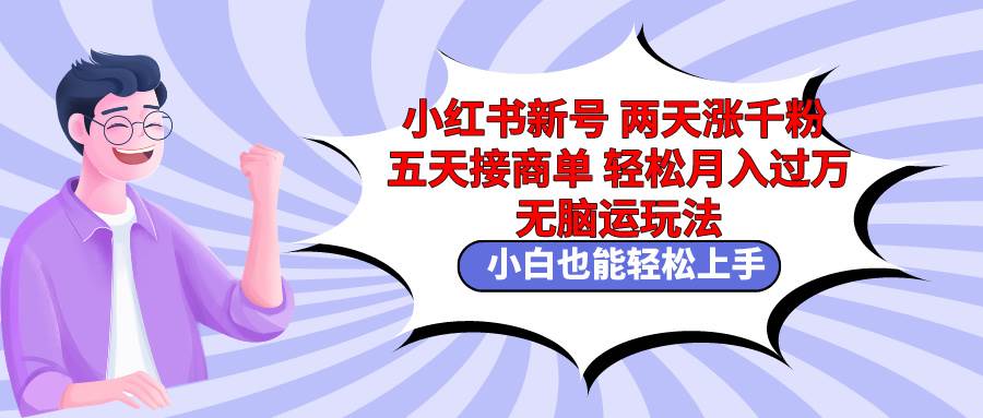 小红书新号两天涨千粉五天接商单轻松月入过万 无脑搬运玩法 小白也能轻…-荔枝网络