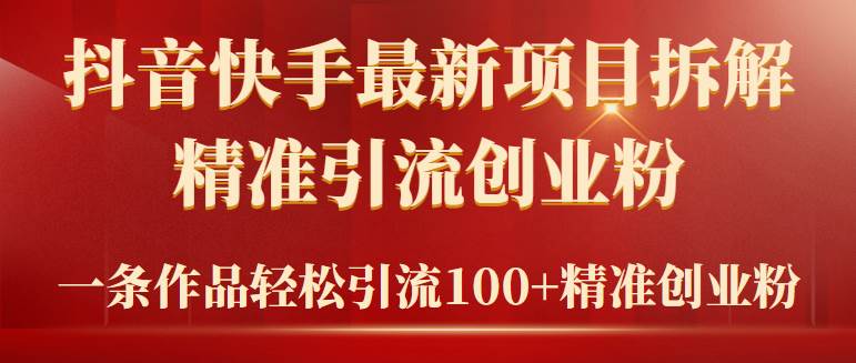 2024年抖音快手最新项目拆解视频引流创业粉，一天轻松引流精准创业粉100+-荔枝网络