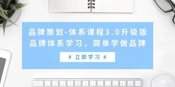 品牌策划-体系课程3.0升级版，品牌体系学习，简单学做品牌（高清无水印）-荔枝网络