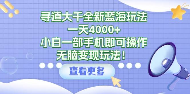 寻道大千全新蓝海玩法，一天4000+，小白一部手机即可操作，无脑变现玩法！-荔枝网络