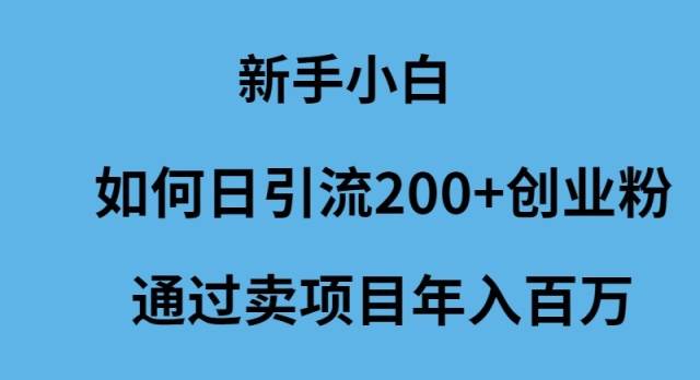 新手小白如何日引流200+创业粉通过卖项目年入百万-荔枝网络