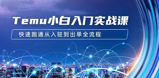 Temu小白入门实战课:跨境拼多多电商培训 快速跑通从入驻到出单全流程-12节-荔枝网络