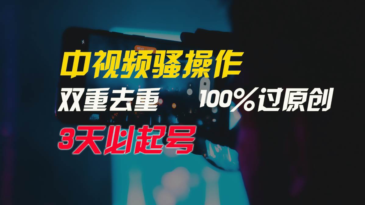 中视频骚操作,双重去重100%过原创,3天比必起号,简单无脑,月入3W+-荔枝网络