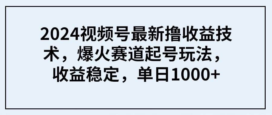2024视频号最新撸收益技术，爆火赛道起号玩法，收益稳定，单日1000+-荔枝网络
