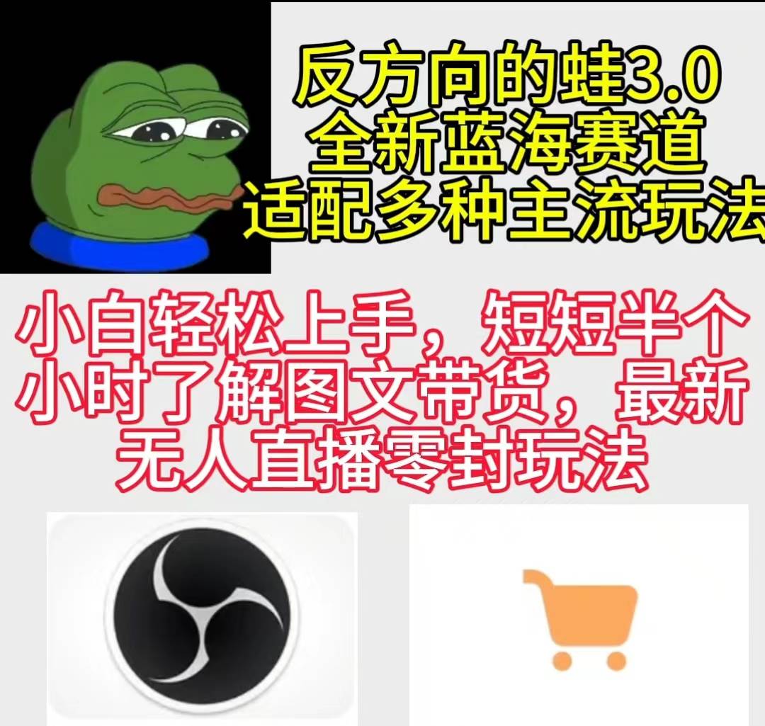 反方向的蛙3.0，图文最新玩法，变现多元化，新蓝海项目，小白轻松上手-荔枝网络