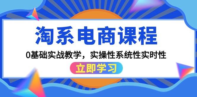 淘系电商课程，0基础实战教学，实操性系统性实时性（15节课）-荔枝网络