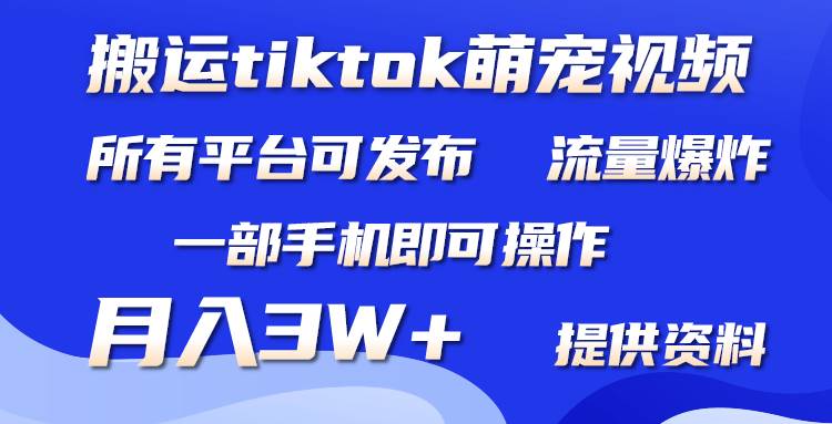 搬运Tiktok萌宠类视频，一部手机即可。所有短视频平台均可操作，月入3W+-荔枝网络