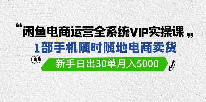 闲鱼电商运营全系统VIP实战课，1部手机随时随地卖货，新手日出30单月入5000-荔枝网络