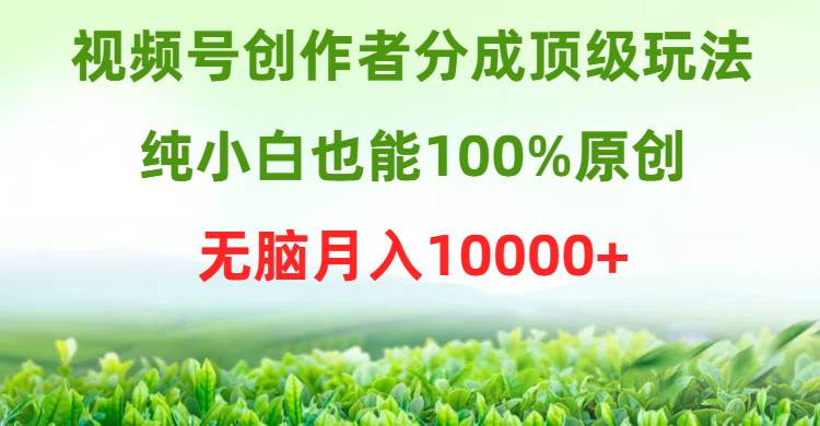 视频号创作者分成顶级玩法，纯小白也能100%原创，无脑月入10000+-荔枝网络