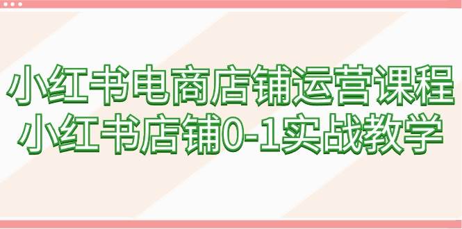 小红书电商店铺运营课程，小红书店铺0-1实战教学（60节课）-荔枝网络