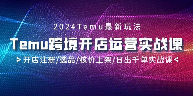 2024Temu跨境开店运营实战课，开店注册/选品/核价上架/日出千单实战课-荔枝网络