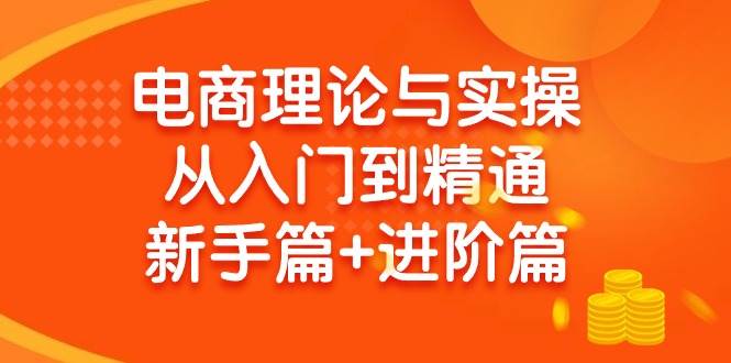 电商理论与实操从入门到精通 新手篇+进阶篇-荔枝网络