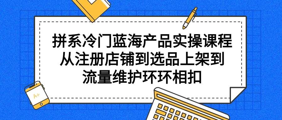 拼系冷门蓝海产品实操课程,从注册店铺到选品上架到流量维护环环相扣插图 拼系冷门蓝海产品实操课程,从注册店铺到选品上架到流量维护环环相扣插图