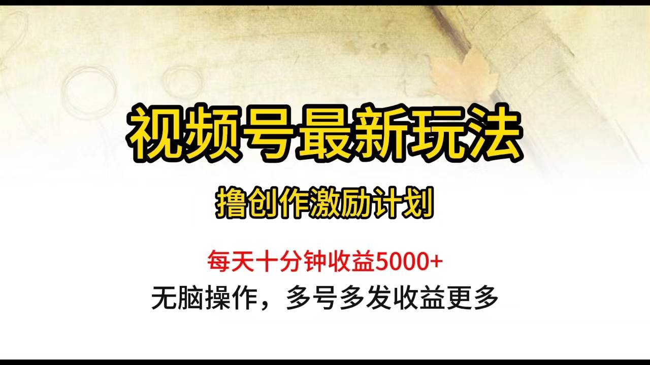 视频号最新玩法，每日一小时月入5000+-荔枝网络