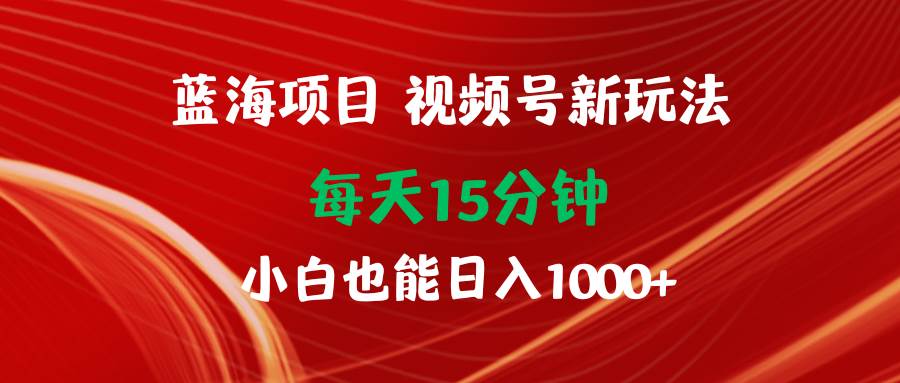 蓝海项目视频号新玩法 每天15分钟 小白也能日入1000+-荔枝网络