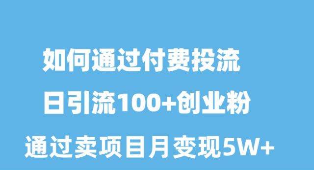如何通过付费投流日引流100+创业粉月变现5W+-荔枝网络