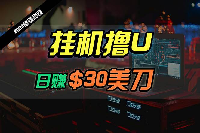 日赚30美刀，2024最新海外挂机撸U内部项目，全程无人值守，可批量放大-荔枝网络